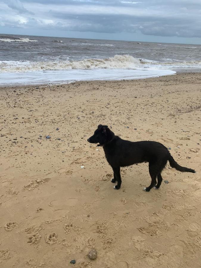 Norfolk Caravan Staycation Pet Friendly Belton with Browston Ngoại thất bức ảnh